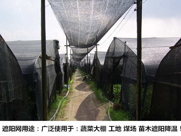 遮阳网各种搭建效果图